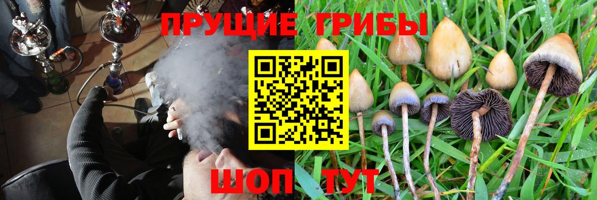 Липецк  Псилоцибиновые грибы MAGIC MUSHROOMS  Вход с VPN  Галлюциногенные грибы GOLDEN TEACHER 